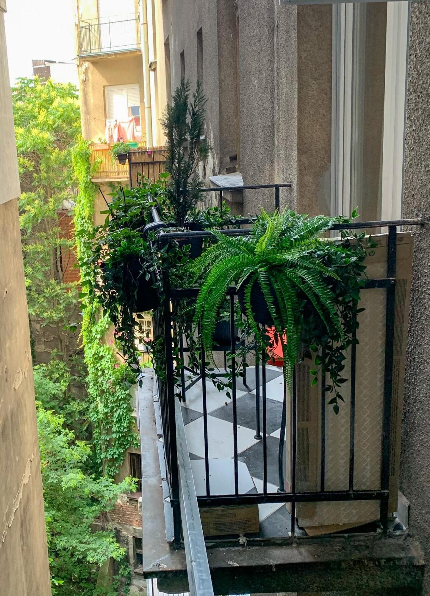 Apartment Pop's *